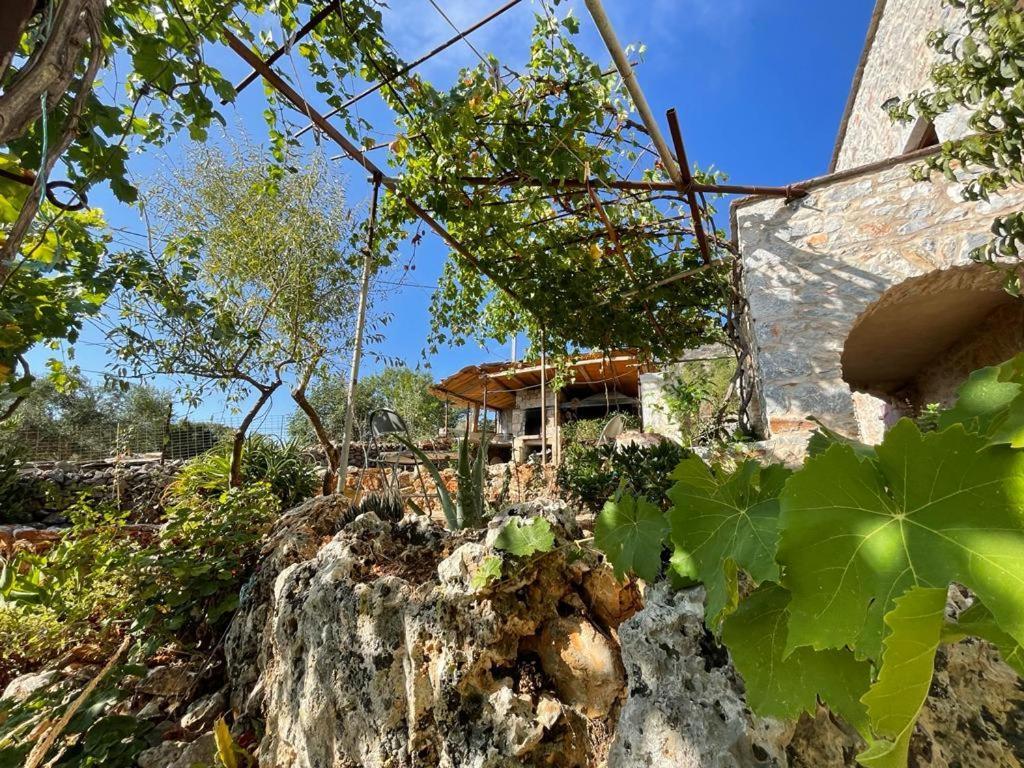 Find Your Peace In A Traditional Country House!! Lagia Buitenkant foto